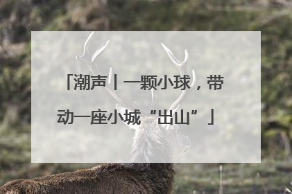 潮声丨一颗小球，带动一座小城“出山”