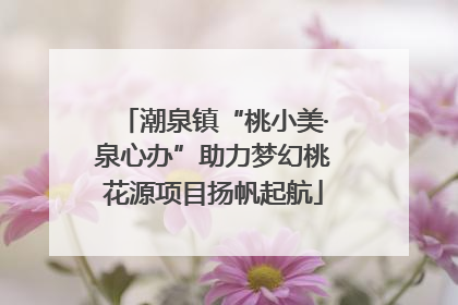 潮泉镇“桃小美·泉心办”助力梦幻桃花源项目扬帆起航