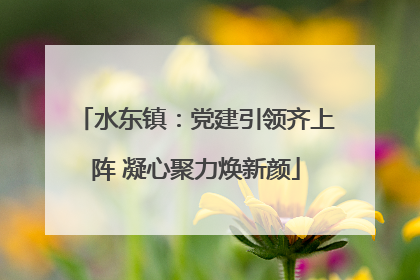 水东镇：党建引领齐上阵 凝心聚力焕新颜