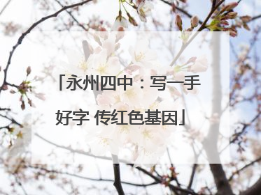 永州四中：写一手好字 传红色基因