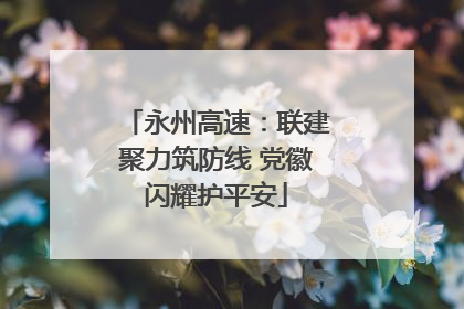 永州高速：联建聚力筑防线 党徽闪耀护平安