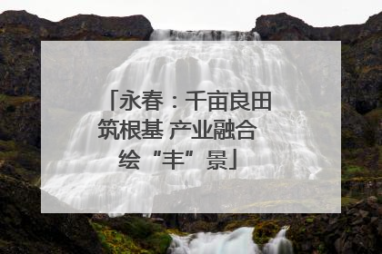 永春：千亩良田筑根基 产业融合绘“丰”景