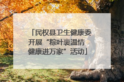 民权县卫生健康委开展“粽叶裹温情 健康进万家”活动