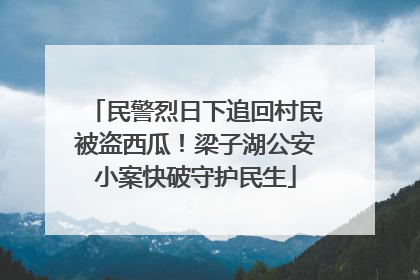 民警烈日下追回村民被盗西瓜！梁子湖公安小案快破守护民生