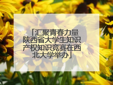 汇聚青春力量 陕西省大学生知识产权知识竞赛在西北大学举办