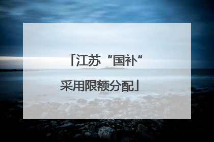 江苏“国补”采用限额分配