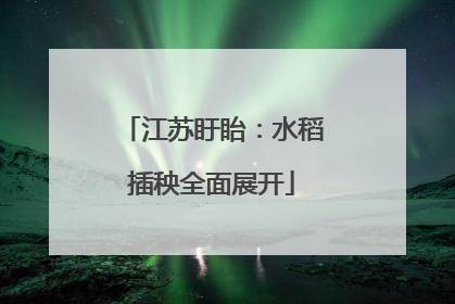 江苏盱眙：水稻插秧全面展开