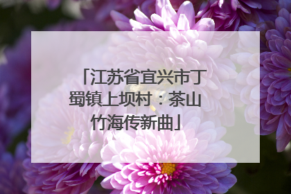 江苏省宜兴市丁蜀镇上坝村：茶山竹海传新曲