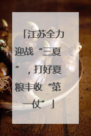 江苏全力迎战“三夏”，打好夏粮丰收“第一仗”