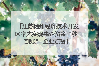 江苏扬州经济技术开发区率先实现惠企资金“秒到账” 企业点赞
