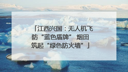 江西兴国：无人机飞防“蓝色盾牌” 烟田筑起“绿色防火墙”