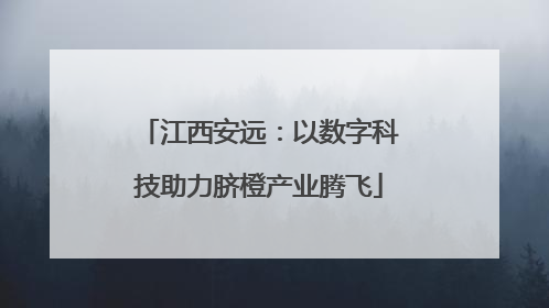 江西安远：以数字科技助力脐橙产业腾飞