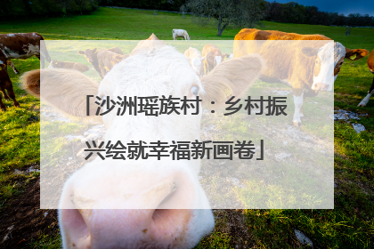 沙洲瑶族村：乡村振兴绘就幸福新画卷