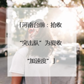 河南台前：抢收“突击队”为夏收“加速度”
