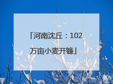 河南沈丘：102 万亩小麦开镰