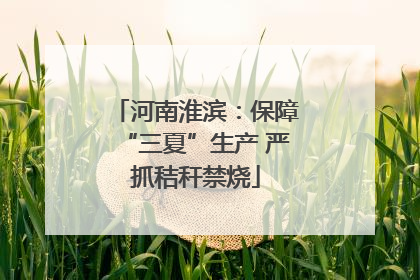 河南淮滨：保障“三夏”生产 严抓秸秆禁烧