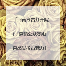 河南考古打开院门 邀请公众零距离感受考古魅力