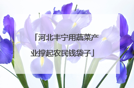河北丰宁用蔬菜产业撑起农民钱袋子