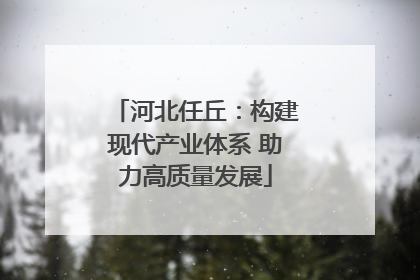 河北任丘：构建现代产业体系 助力高质量发展