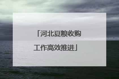 河北夏粮收购工作高效推进