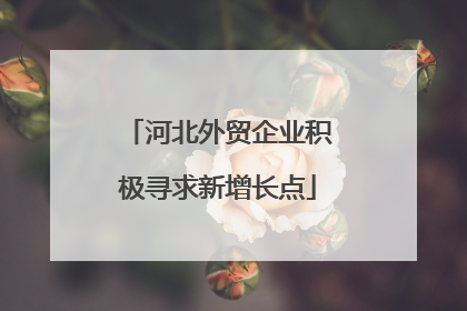 河北外贸企业积极寻求新增长点