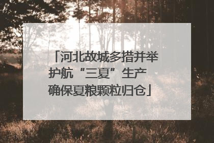 河北故城多措并举护航“三夏”生产 确保夏粮颗粒归仓