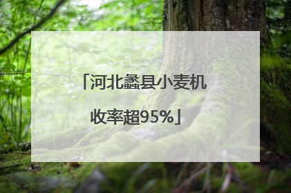 河北蠡县小麦机收率超95%