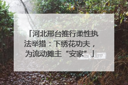 河北邢台推行柔性执法举措：下绣花功夫，为流动摊主“安家”