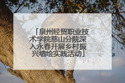 泉州经贸职业技术学院慈山分院深入永春开展乡村振兴墙绘实践活动