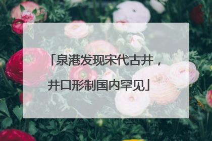 泉港发现宋代古井，井口形制国内罕见