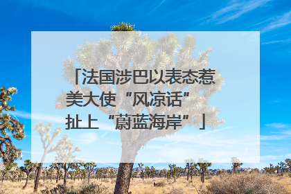 法国涉巴以表态惹美大使“风凉话” 扯上“蔚蓝海岸”