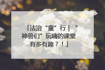 法治“童”行｜“神兽们”玩嗨的课堂有多有趣？！