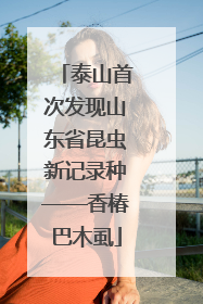 泰山首次发现山东省昆虫新记录种——香椿巴木虱