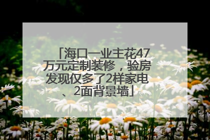 海口一业主花47万元定制装修，验房发现仅多了2样家电、2面背景墙