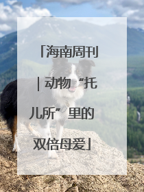 海南周刊｜动物“托儿所”里的双倍母爱