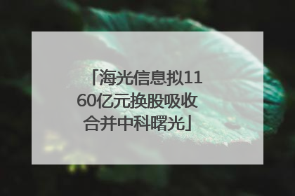 海光信息拟1160亿元换股吸收合并中科曙光