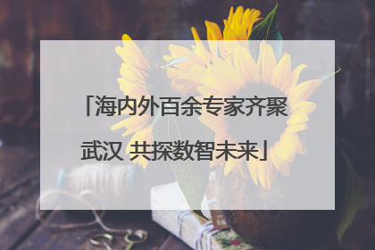 海内外百余专家齐聚武汉 共探数智未来