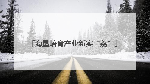 海垦培育产业新实“荔”