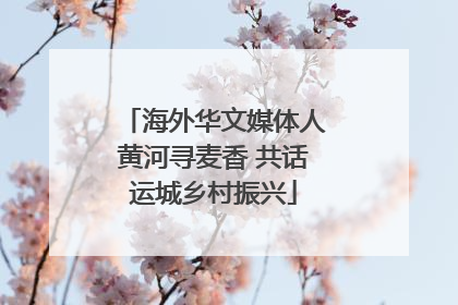 海外华文媒体人黄河寻麦香 共话运城乡村振兴