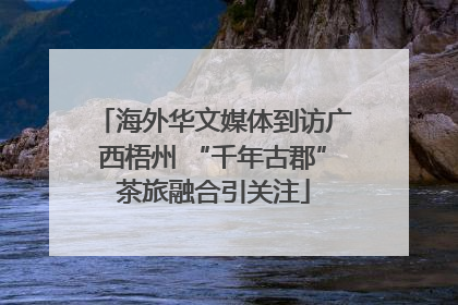 海外华文媒体到访广西梧州 “千年古郡”茶旅融合引关注
