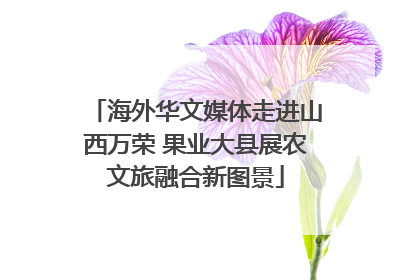 海外华文媒体走进山西万荣 果业大县展农文旅融合新图景
