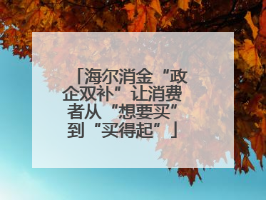 海尔消金“政企双补”让消费者从“想要买”到“买得起”