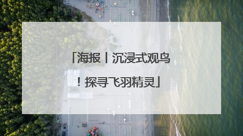 海报丨沉浸式观鸟！探寻飞羽精灵