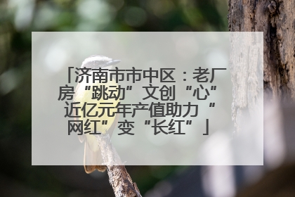 济南市市中区：老厂房“跳动”文创“心” 近亿元年产值助力“网红”变“长红”