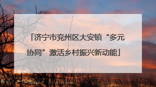 济宁市兖州区大安镇“多元协同”激活乡村振兴新动能
