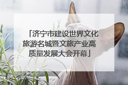 济宁市建设世界文化旅游名城暨文旅产业高质量发展大会开幕