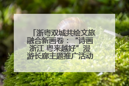 浙粤双城共绘文旅融合新画卷：“诗画浙江 粤来越好”漫游长廊主题推广活动在广州花城汇启幕