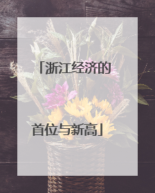 浙江经济的首位与新高