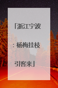 浙江宁波：杨梅挂枝引客来