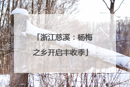 浙江慈溪：杨梅之乡开启丰收季